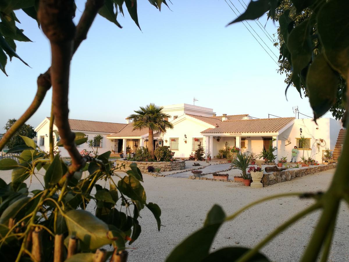 Hotel Casa Fina - Adults Recommended Конил-де-ла-Фронтера Екстериор снимка